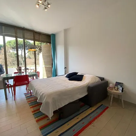 Appartamento Delizioso Appartamentino Viareggio