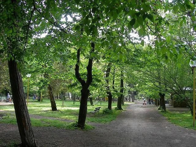 Delizioso Appartamentino *