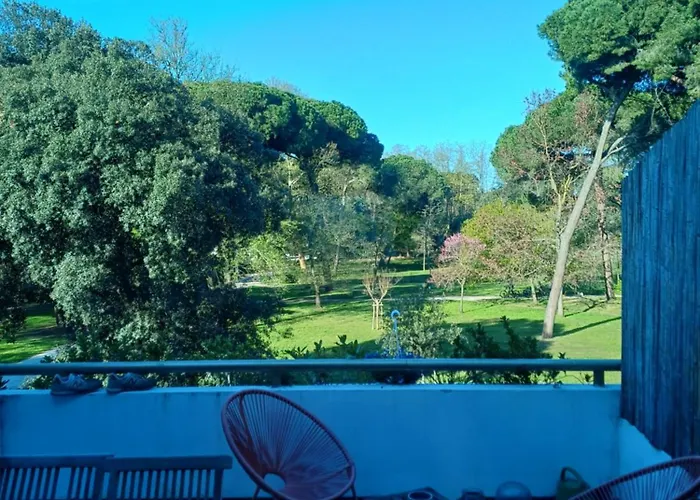 Delizioso Appartamentino Appartamento Viareggio