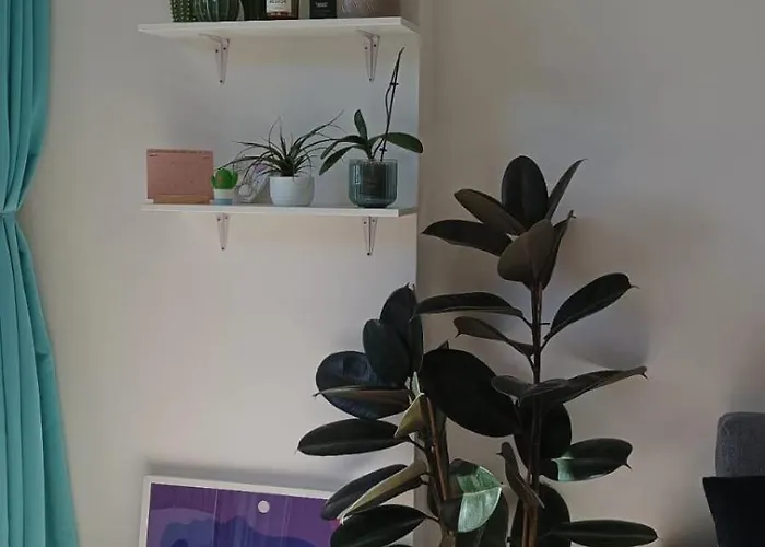 Delizioso Appartamentino Viareggio