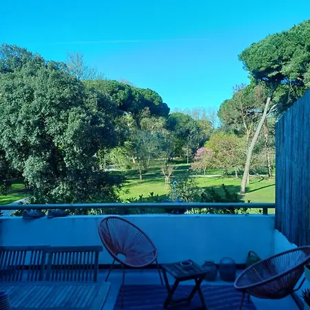 Delizioso Appartamentino Apartment Viareggio