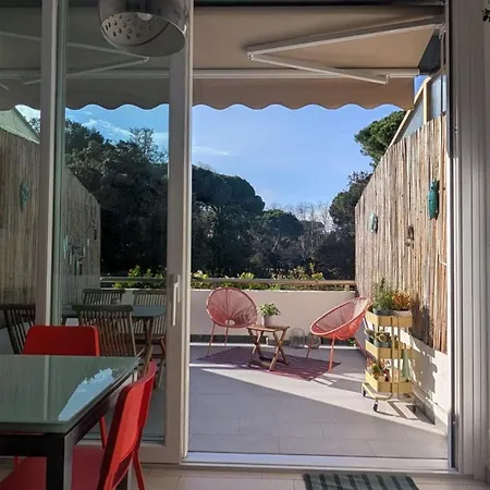 Delizioso Appartamentino Apartment