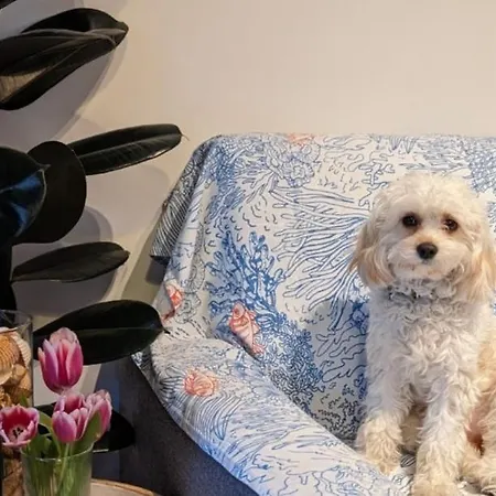 Delizioso Appartamentino Apartment Viareggio