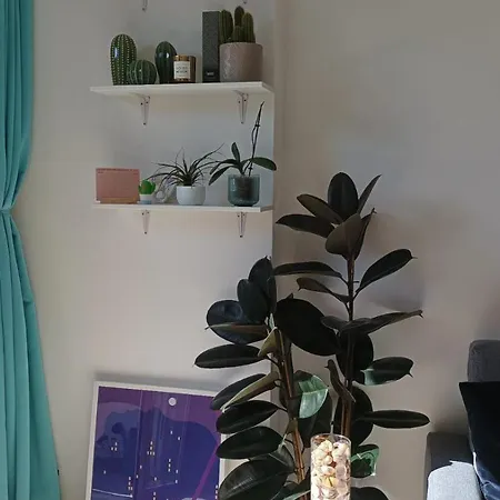 Delizioso Appartamentino Viareggio