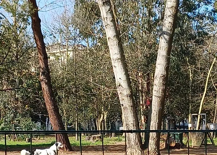 Apartament Delizioso Appartamentino *