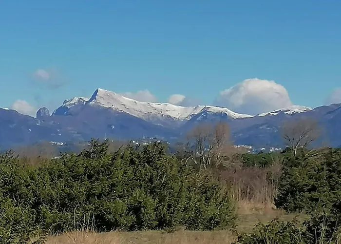 Delizioso Appartamentino Apartament